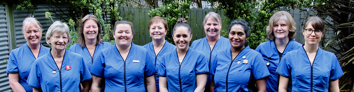 Picture of Nursing Team